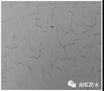 在成膜的加固剂上刮腻子