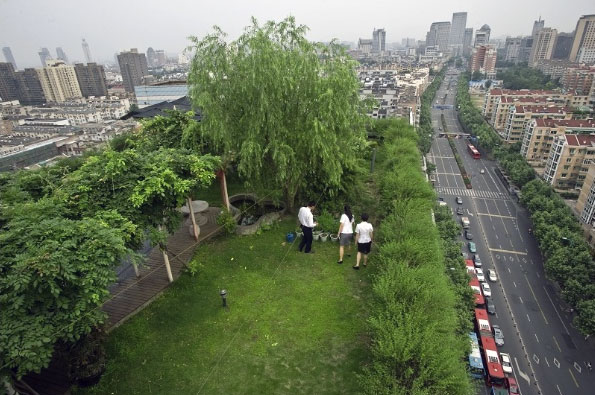 屋顶绿化不仅美观还能延长防水层使用寿命