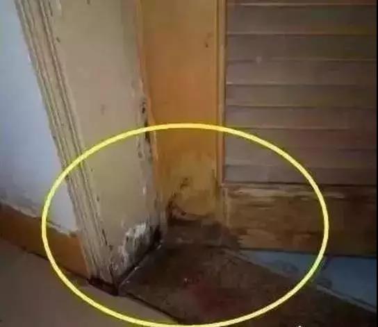 卫生间木门防水